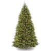 National Tree Company 10 Ft. PowerConnect(TM) Dunhill® Fir Tree With Dual Color® LED Lights