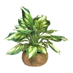 Artificial Hosta Plant