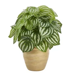 Nearly Natural Artificial Watermelon Peperomia Plant Table Decor