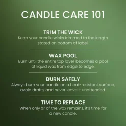 Yankee Candle Balsam & Cedar 14.25-oz. Medium Pillar Candle 12 Yankee Candle Balsam & Cedar 14.25-oz. Medium Pillar Candle -Home Decor Shop 53726912 CC ALT5