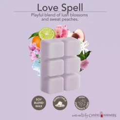 Candle Warmers Etc. 2.5-oz. Love Spell & Cozy Cashmere Variety Wax Melts 48-piece Set -Home Decor Shop 5944412 ALT5