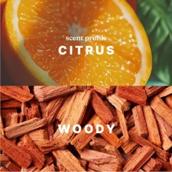 HoMedics Mandarin & Basil SereneScent Fragrance Oil -Home Decor Shop 7140528 ALT2