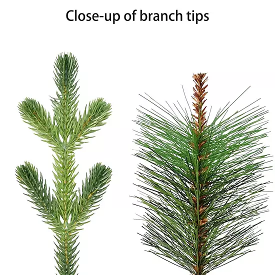 Puleo International Inc. 7.5-ft. Pre-Lit Albany Spruce Adorned Artificial Christmas Tree 6 Puleo International Inc. 7.5-ft. Pre-Lit Albany Spruce Adorned Artificial Christmas Tree - Image 6