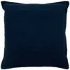 Rizzy Home Cleo Indoor / Outdoor Throw Pillow Cover