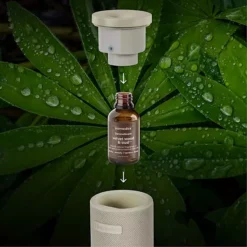 HoMedics Velvet Wood & Oud SereneScent Fragrance Oil 8 HoMedics Velvet Wood & Oud SereneScent Fragrance Oil -Home Decor Shop 7406182 ALT2