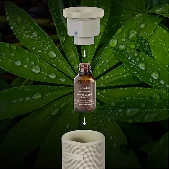 HoMedics Velvet Wood & Oud SereneScent Fragrance Oil 3 HoMedics Velvet Wood & Oud SereneScent Fragrance Oil - Image 3