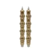 Celebrate Together™ Fall Set Of 2 Taper Candles
